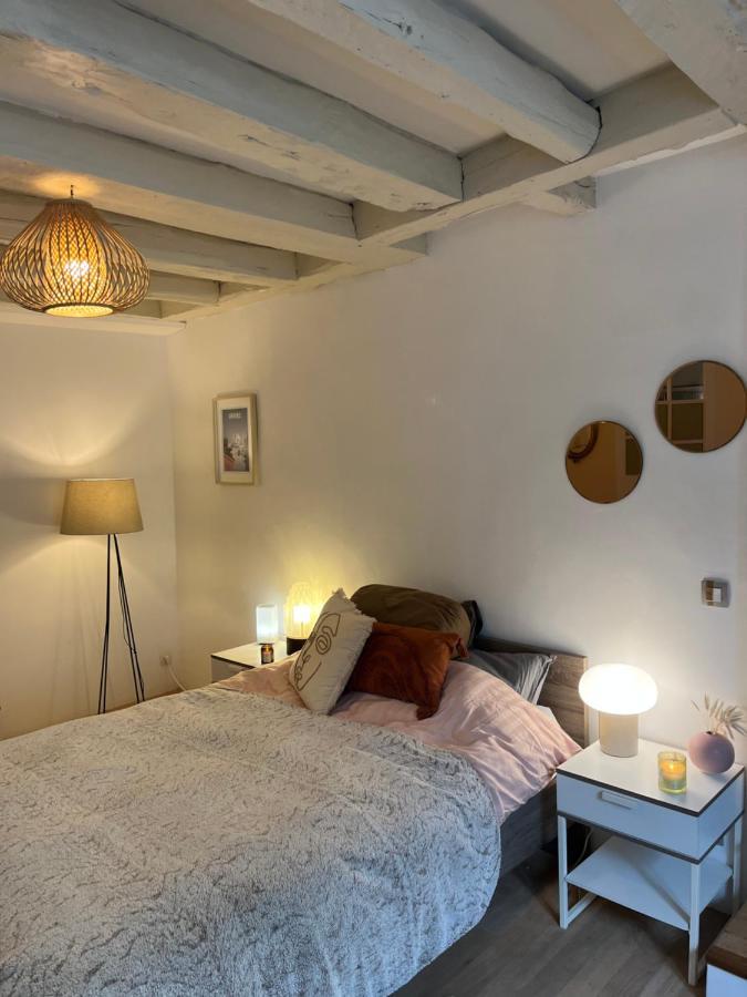 Good Vibes Apartment Grenoble Exterior foto